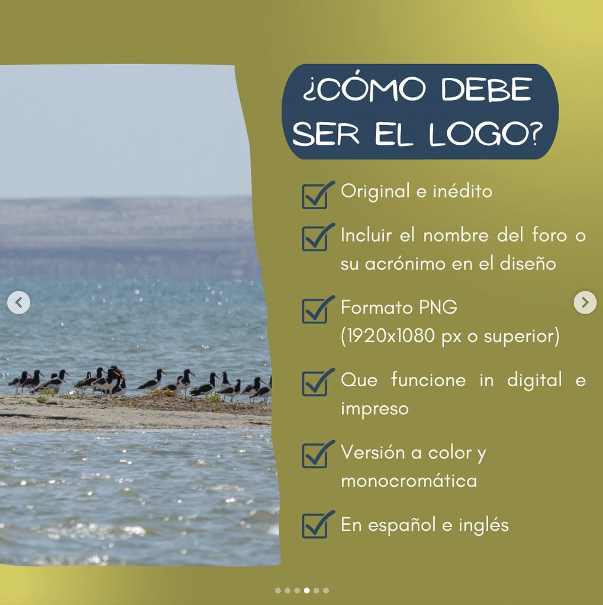 Concurso de Diseño del Logo Oficial del Foro Juvenil de la Ruta Migratoria del Pacífico Americano (PAFYF). 

Puedes revisar los detalles y lineamientos de este concurso en [loom.ly/mnjTE8A] 

#PAFYF2025 #concursodelogo