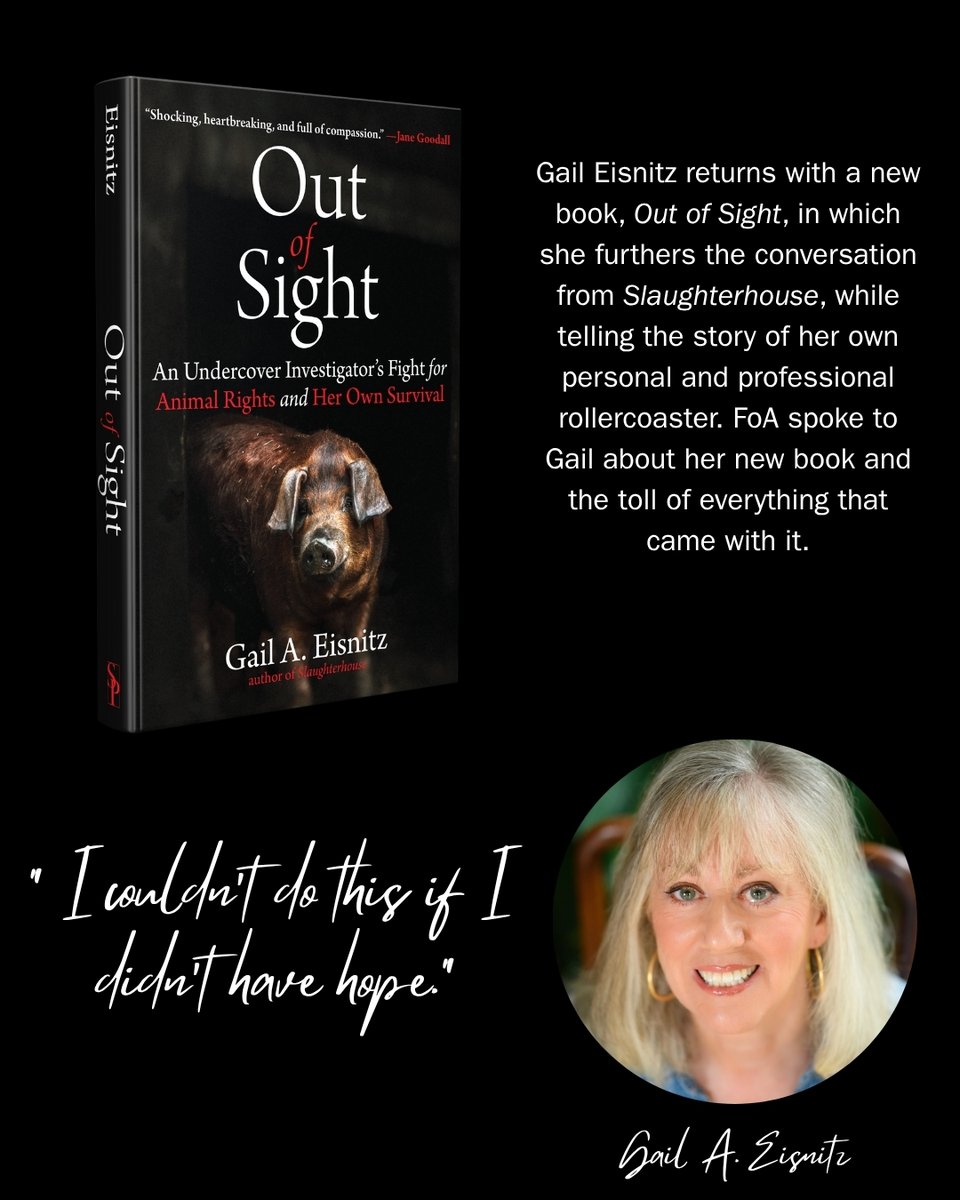FoAorg's tweet image. FoA's Jack Keller had the honor of speaking with Gail Eisnitz, one of the most prominent animal rights investigators, about her latest book "Out of Sight". Check out this Q+A with the esteemed author and activist here: friendsofanimals.org/a-conversation…