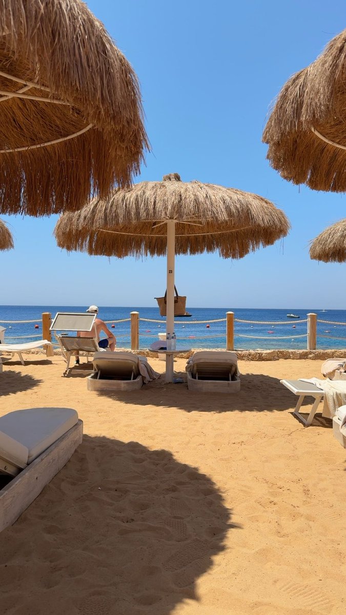 Osama Almenqah tweet media