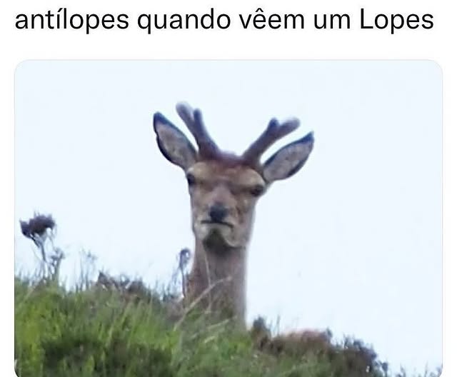 Al Capone tweet media