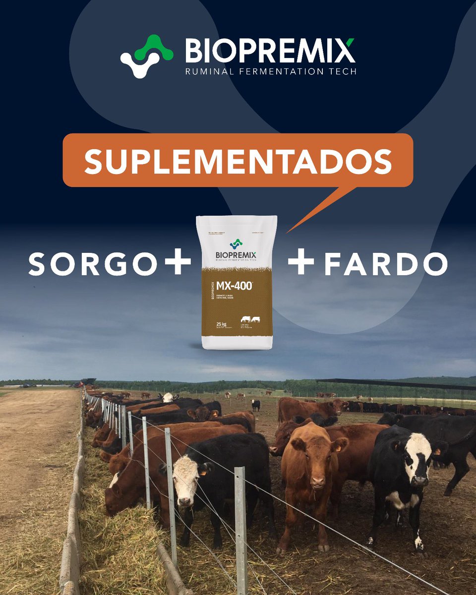 💪 𝗡𝘂𝘁𝗿𝗶𝗰𝗶𝗼́𝗻 𝗾𝘂𝗲 𝘀𝗲 𝗻𝗼𝘁𝗮 𝗲𝗻 𝗲𝗹 𝗰𝗮𝗺𝗽𝗼.

Cuando la suplementación se hace bien, los resultados hablan por sí solos: 

👉🏻maíz + fardo + MX-200 de Biopremix 👉🏻sorgo + fardo + MX-400 de Biopremix

= animales bien alimentados, sanos y productivos.