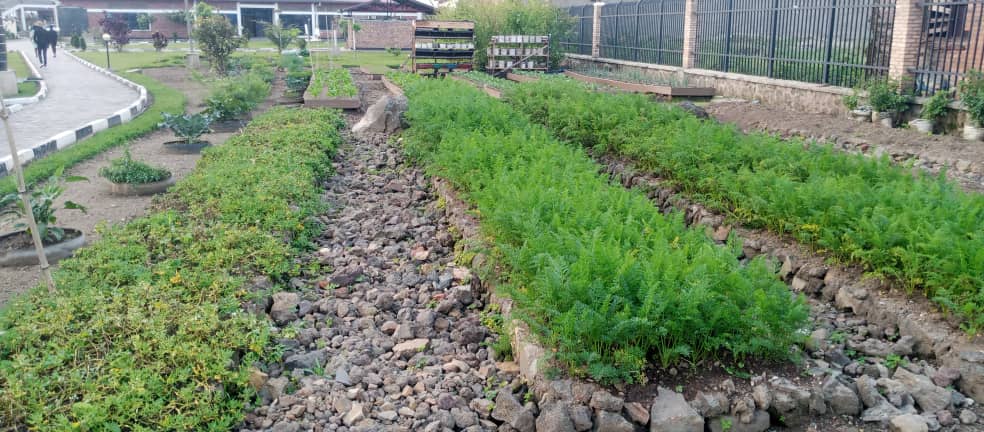 Musanze District (@musanzedistrict) on Twitter photo Umunyamabanga Nshingwabikorwa w'Akarere <a href="/alex_kanayoge/">Alex Kanayoge</a> yasuye umushinga w'Ubuhunzi, #UrbanAgriculture, ukorerwa mu Kigo cy'Urubyiruko cya Musanze. Ni umushinga w'ubuhinzi bw'imboga ugaragaza uburyo bwo guhinga mu mujyi, kubyaza umusaruro ubuso buto no kurwanya imirire mibi. Umunyamabanga Nshingwabikorwa w'Akarere <a href="/alex_kanayoge/">Alex Kanayoge</a> yasuye umushinga w'Ubuhunzi, #UrbanAgriculture, ukorerwa mu Kigo cy'Urubyiruko cya Musanze. Ni umushinga w'ubuhinzi bw'imboga ugaragaza uburyo bwo guhinga mu mujyi, kubyaza umusaruro ubuso buto no kurwanya imirire mibi.