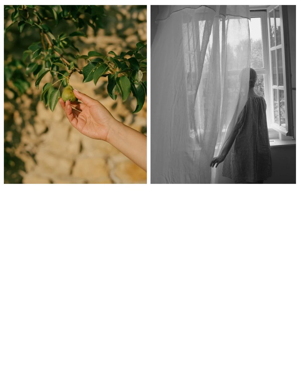 Isarusphoto's tweet image. From a recent commission 🌿