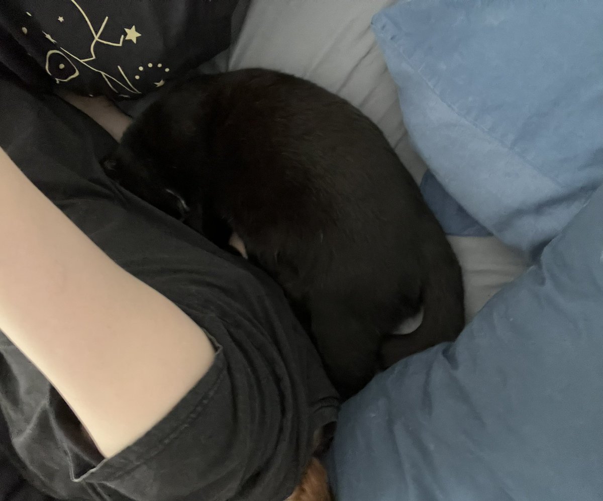 iinneo's tweet image. I’m pretty sick after Offkai; but don’t worry, Boo is making sure I’m taken care of 🥺🧡