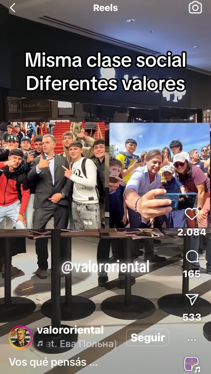 Ringer Elsie (@elsieringer) on Twitter photo 