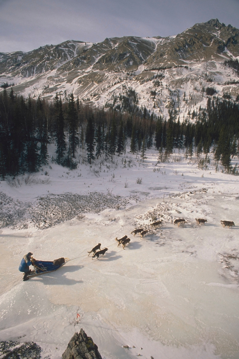 🐾 #Iditarod #ThrowbackThursday 🐾
Lavon Barve makes his way over the Rohn Glacier in the 1989 Iditarod.   Barve finished in 5th place that year, crossing under the Burled Arch in 11 days, 16 hours 46 minutes and 53 seconds.

📷 @iditarodjeff | schultzphoto.com