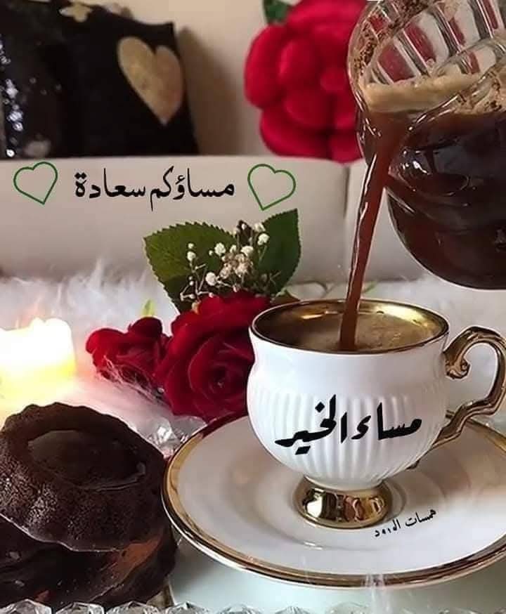مساء الفل والياسمين والورد والعنبر بكل عطورة على أحلى وأجمل متابعين ❤️💙🌹