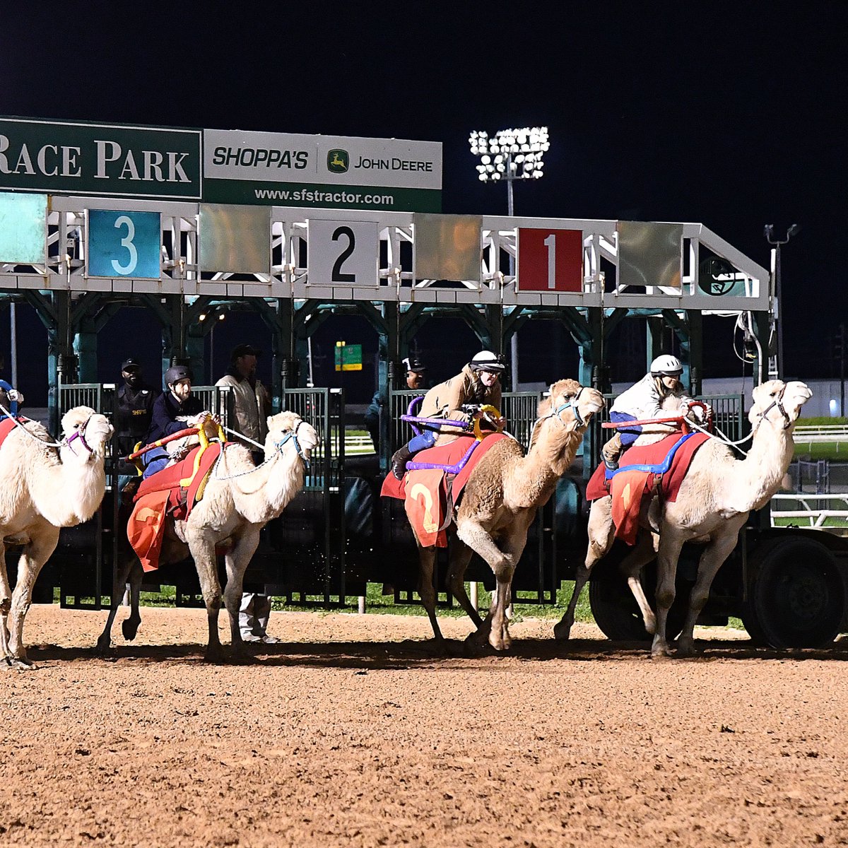Ostrich Racing Inmage Ostrich Racing Houston