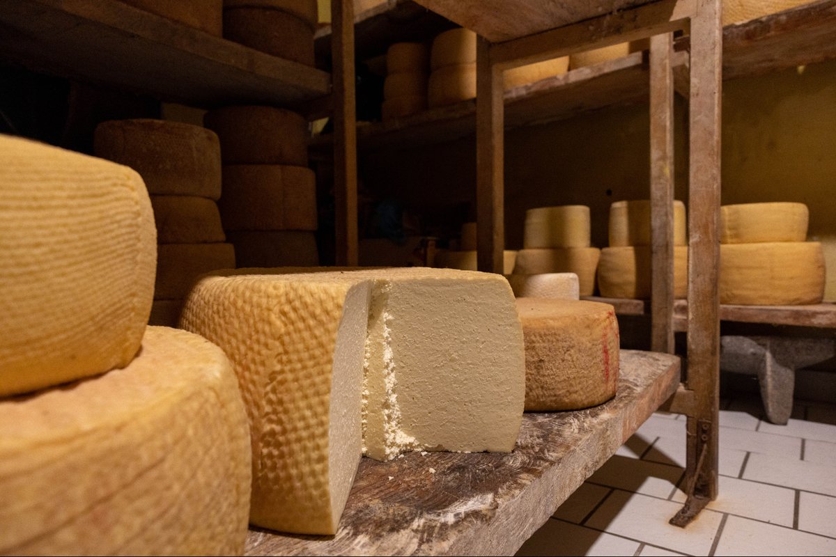 Michoacan's tweet image. 🧀 #DatoCurioso… ¿Sabías que el Queso Cotija es el único lácteo en México con denominación de origen?
Este reconocimiento protege su autenticidad y sabor único, ¡y lo posiciona en el mapa internacional! 🌍✨
#Michoacán #elAlmadeMéxico
#Cotija #PuebloMágico