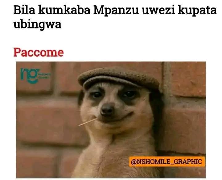 Mr Vagabond (@lucadommy) on Twitter photo 