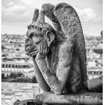 Notre Dame. 

Gargoyles. 

Why?

What kind of energy behind this?