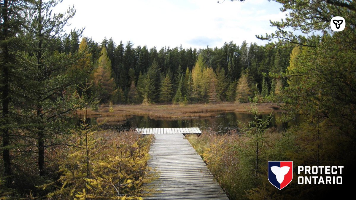 Plan your summer escape to Northern Ontario!

Head to Hersey Lake Conservation Area near Timmins — where scenic trails &amp; waterways are perfect for year-round activities for the family.
 
#exploreON

📸: Hersey Lake - Ontario’s Conservation Areas