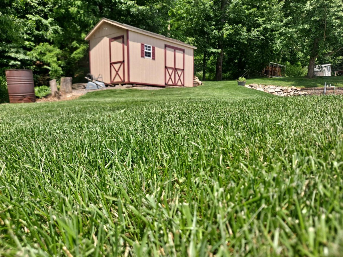 Raising your mowing height during extreme heat helps protect your lawn!.Taller grass shades the soil, reduces moisture loss, and promotes deeper roots. Stay cool and mow smart. Mowing the grass too short can harm your turfgrass during extreme heat and drought.