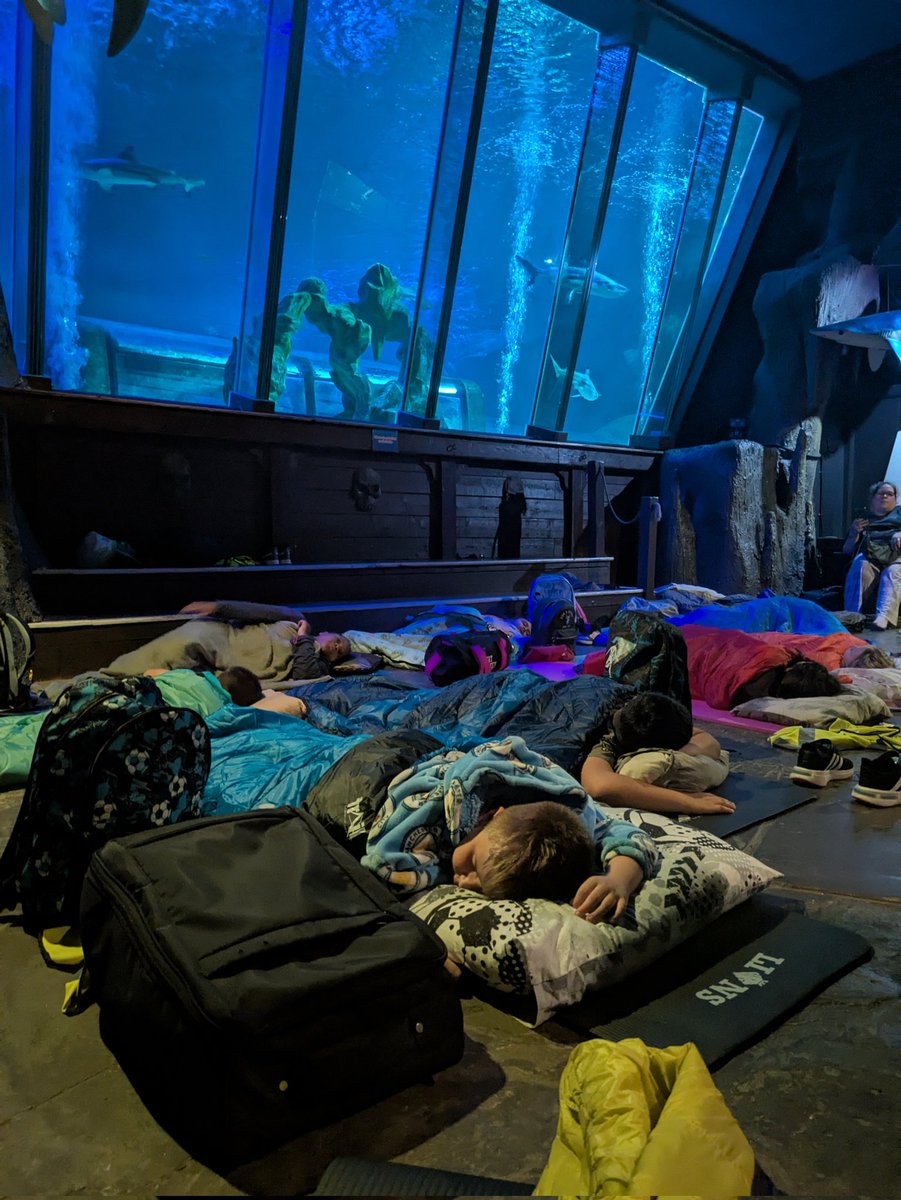 What a wonderful time we had at the Sealife sleepover! #creatingabetterfuture #sleepwithsharks #blackpool <a href="/TheWingsCE/">The Wings' CE Trust</a>