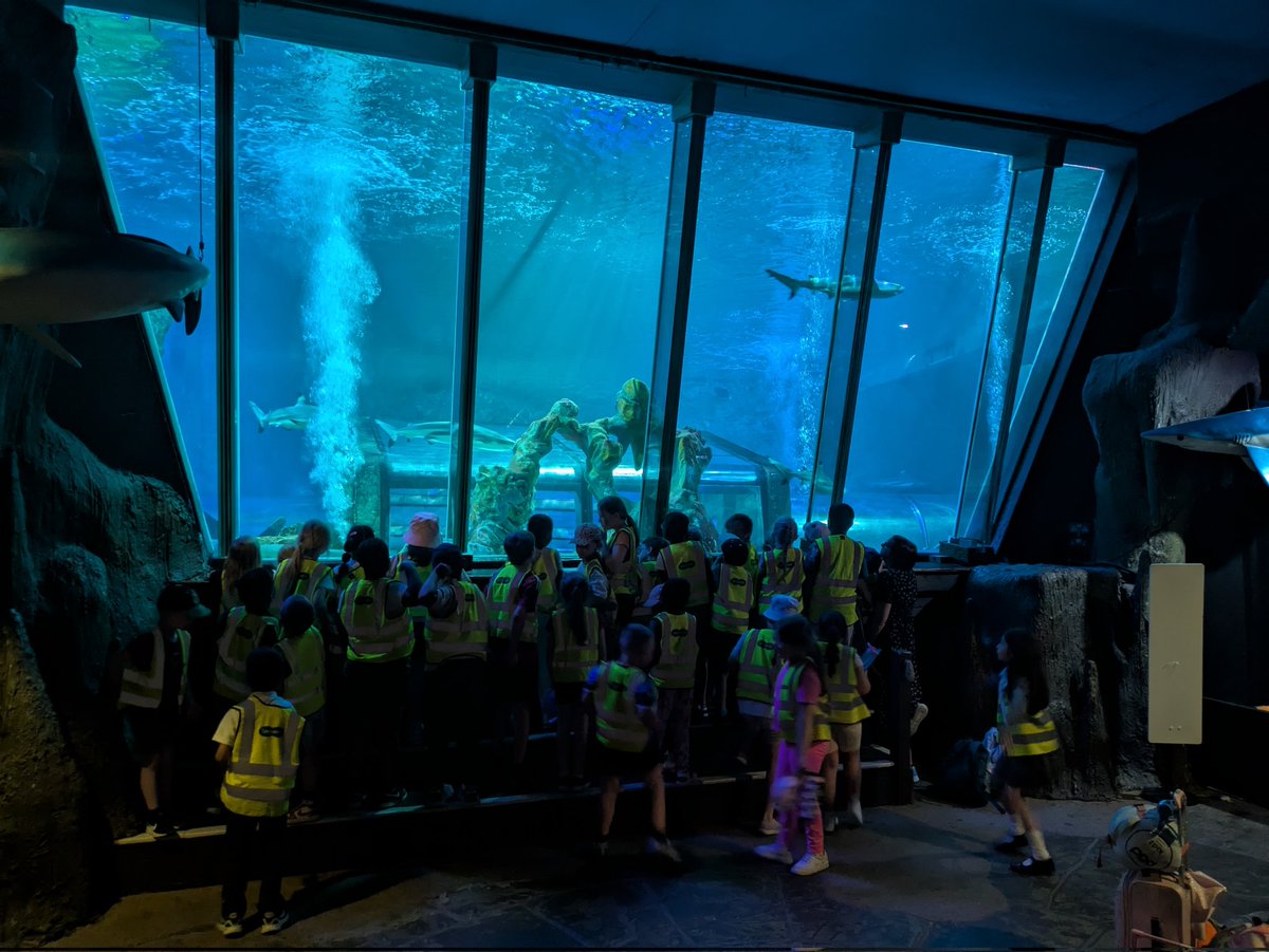 LeighCEPrimary's tweet image. What a wonderful time we had at the Sealife sleepover! #creatingabetterfuture #sleepwithsharks #blackpool @TheWingsCE