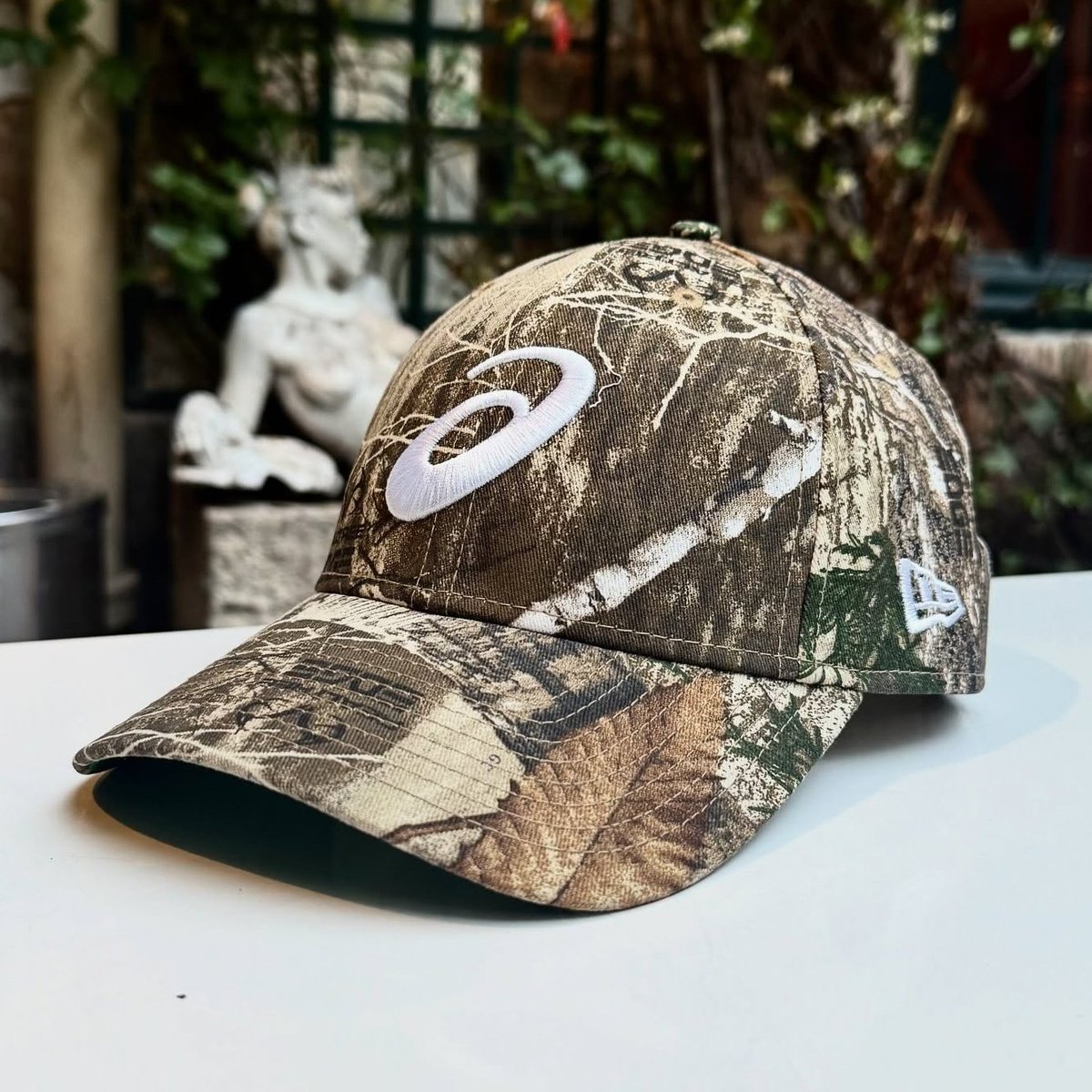 Modern Notoriety tweet media