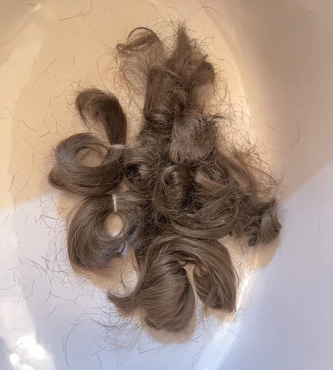 إيڤ⚖️ tweet media