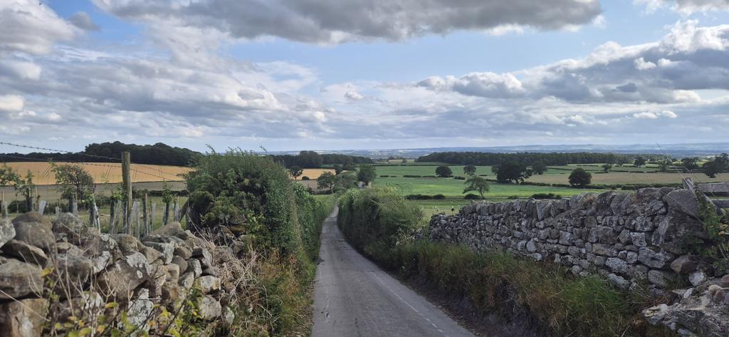 Thursday evening running views 👟🤩