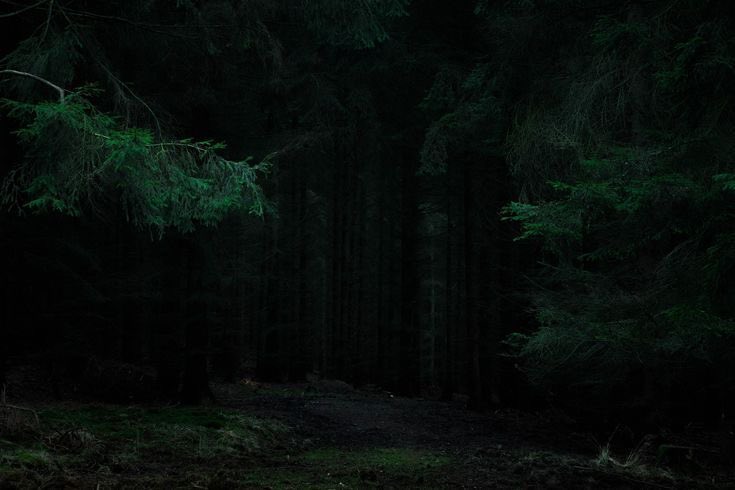 salt (@ancilladominii) on Twitter photo 