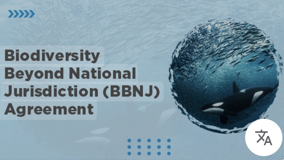 Celebramos la ratificación por México🇲🇽 del Acuerdo sobre la protección de la biodiversidad en alta mar, conocido como #BBNJ. !Felicidades <a href="/Claudiashein/">Claudia Sheinbaum Pardo</a> <a href="/aliciabarcena/">Alicia Bárcena</a>! <a href="/SRE_mx/">Relaciones Exteriores</a> <a href="/senadomexicano/">Senado de México</a> 
Una excelente noticia, tras su destacada participación en la #UNOC de Niza 🇫🇷