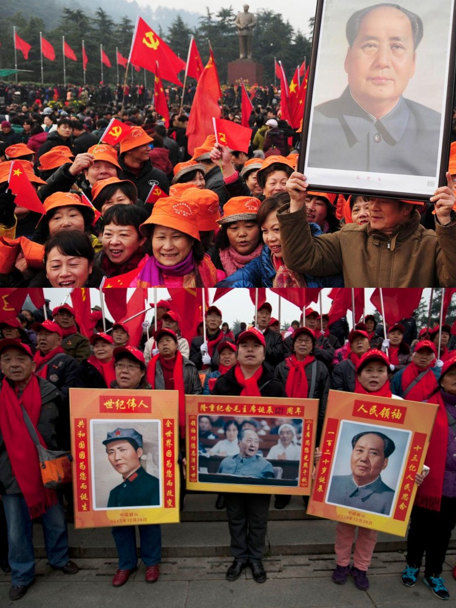 Nina DN ❤️🇨🇳 tweet media