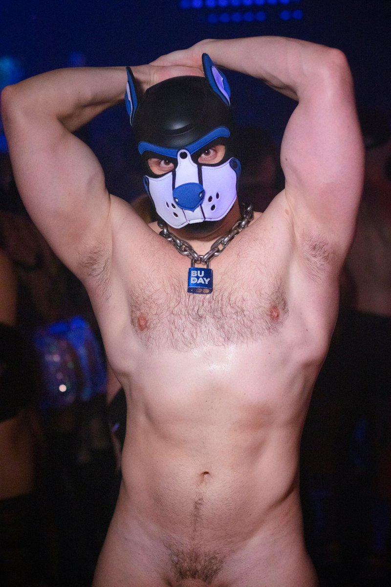 PupBuday's tweet photo. Do you like me sweaty? 😘 https://t.co/reBG3RJRjx