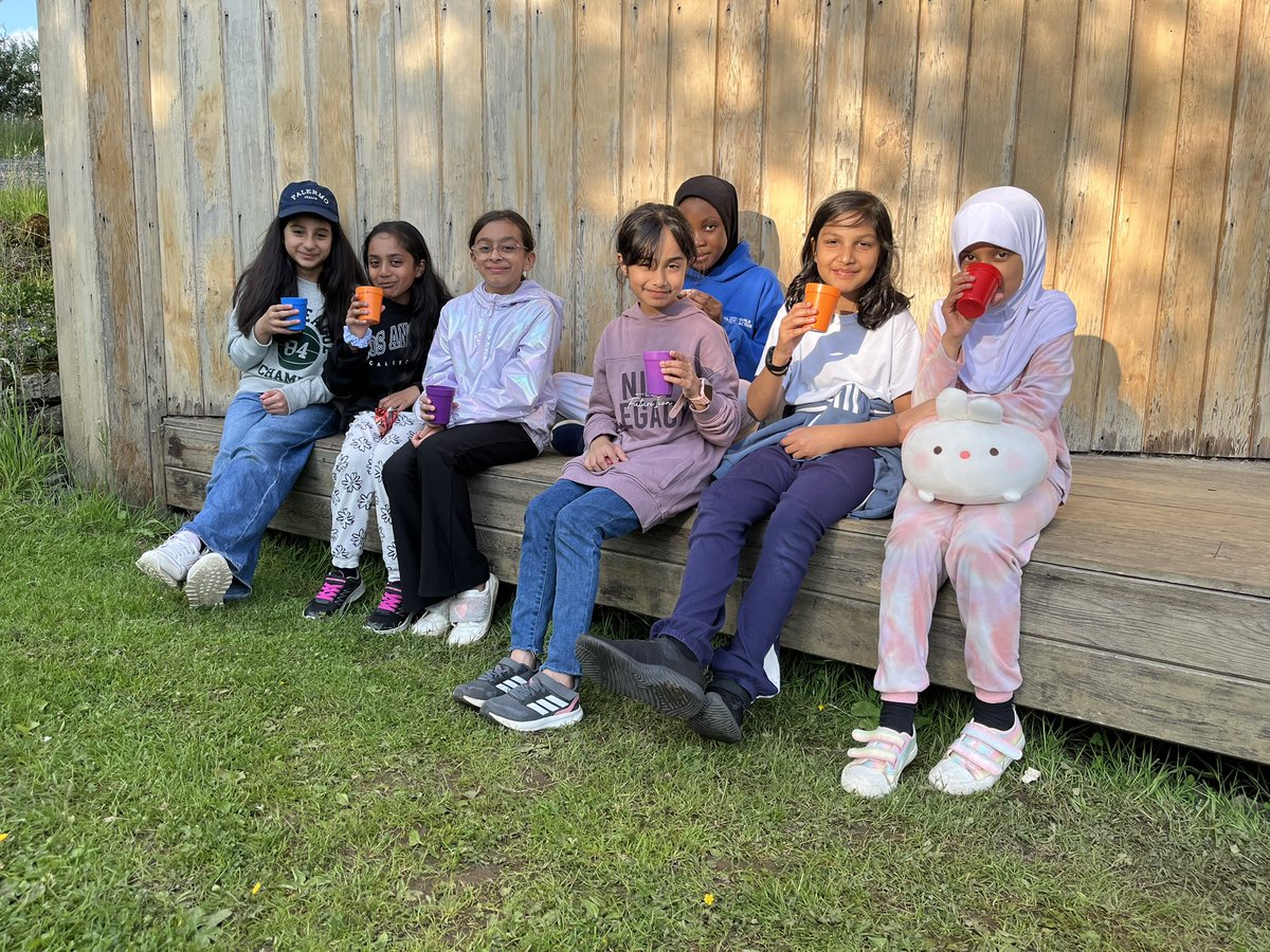 Wingrove Primary tweet media