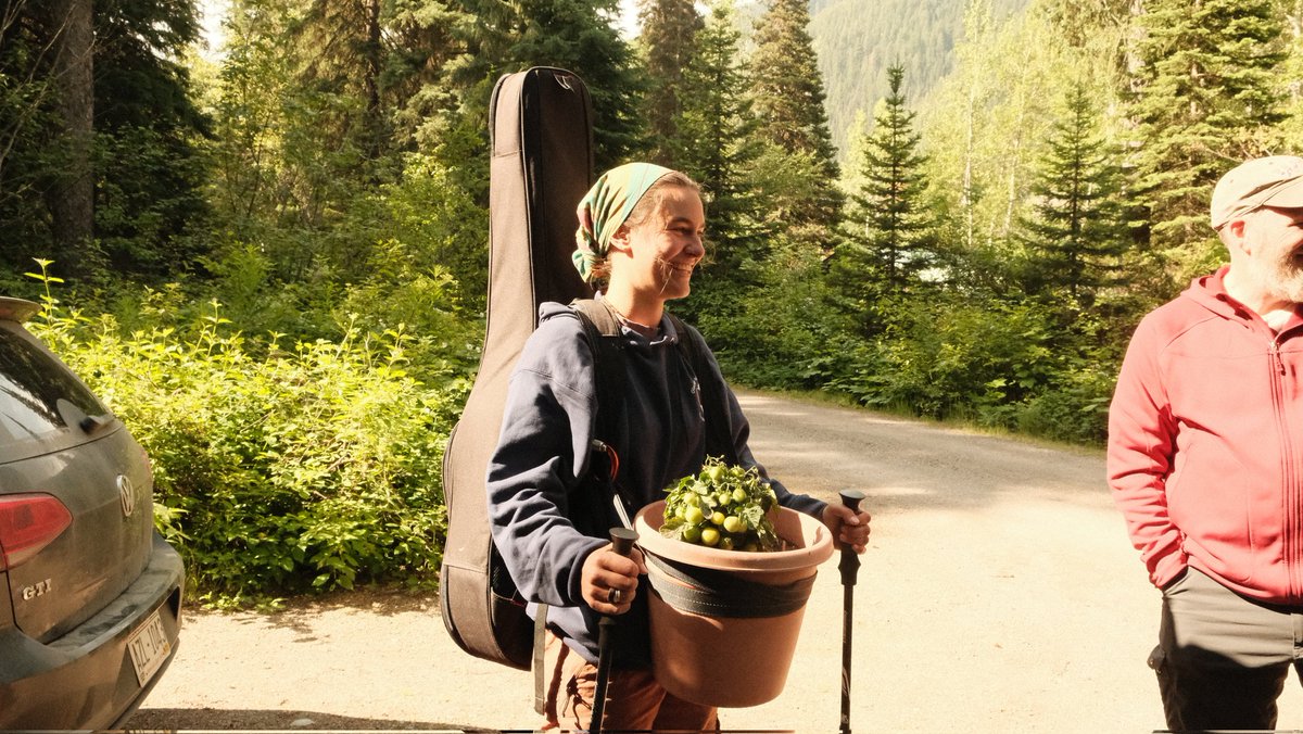 BIackoutDev's tweet image. Quick shout out to my wife for being an absalute gigachad and hiking this 3 galon pot with a tiny tim tomatoe plant (dirt was still pretty wet btw) 5 miles and 3200ft up a hill so we could have fresh tomatoes in our tower.