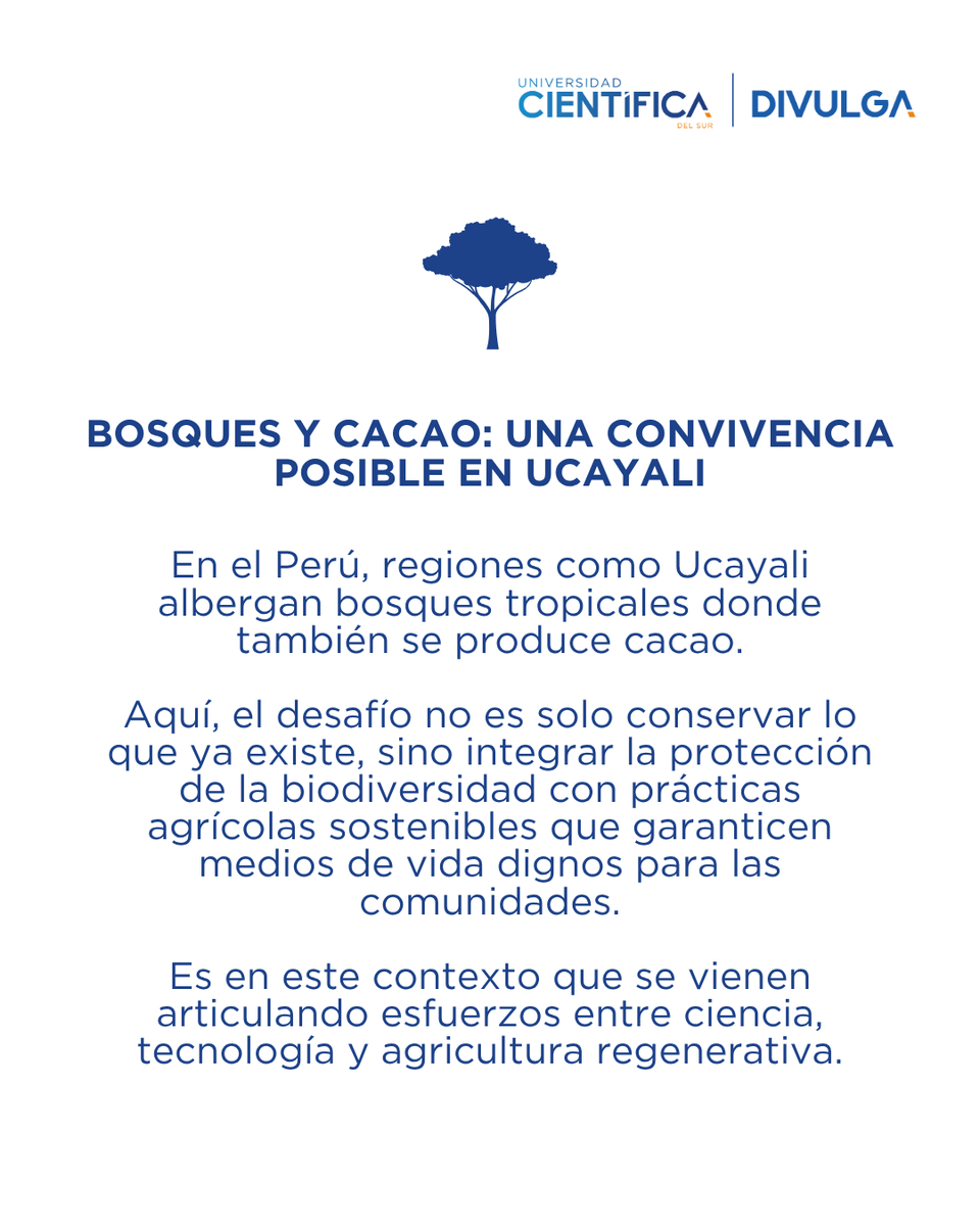 DivulgaUcsur's tweet photo. Frente a ello, la Universidad Científica del Sur participa del proyecto europeo BioMonitor4Cap en la región Ucayali, para detectar y monitorear la biodiversidad presente en terrenos productivos, como los cacaotales.

#CientíficaDivulga #BioMonitor4Cap #Biodiversidad https://t.co/Q3z6pCxYA5