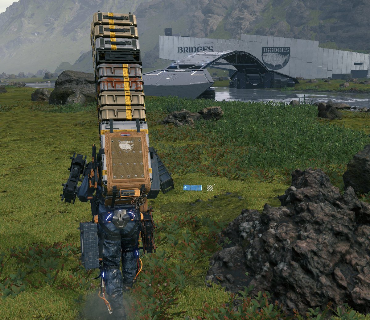 my therapist : do you feel that you are taking on too much?