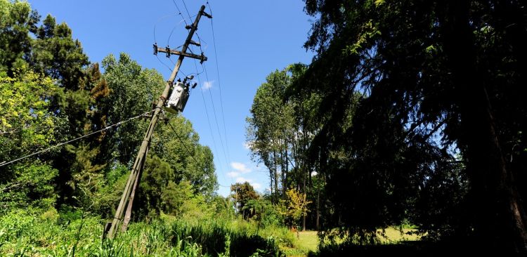 Población del Delta de San Fernando llevan más de 50 horas sin luz eléctrica

Desde el domingo 23 de junio la segunda y tercera sección del Delta se encuentra sin servicio, situación que afecta gravemente a la comunidad isleña.

▶️  radiosur.org.ar/noticia.php?id…