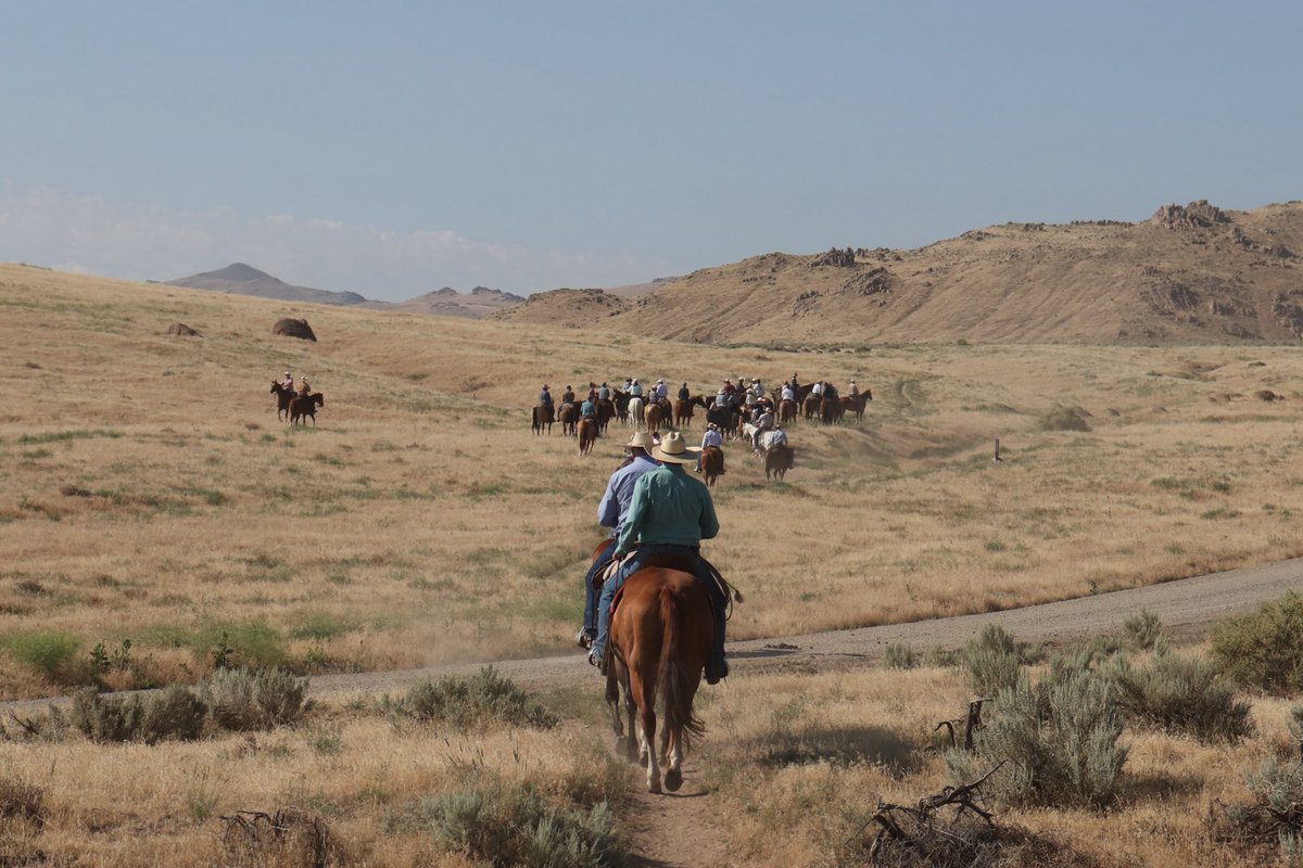 GovernorLittle's tweet image. The Governor’s Annual Trail Ride is a tradition that brings together local, state, and federal leaders to discuss critical natural resource issues.
This week we covered land management, wildfire prevention & suppression, grazing, and other issues of importance to the West.…