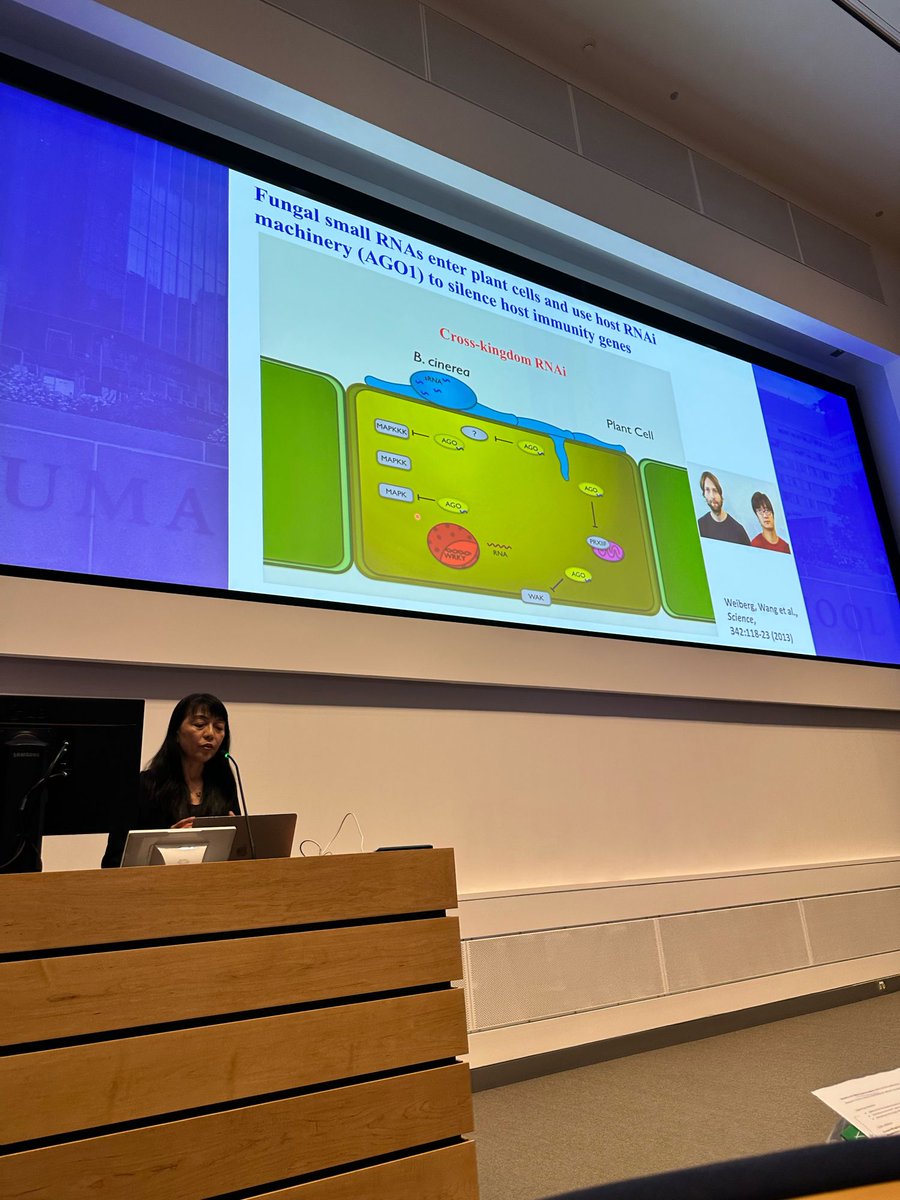 Hailing Jin discussing Cross-kingdom RNA communication and RNA-based innovative strategies for crop protection