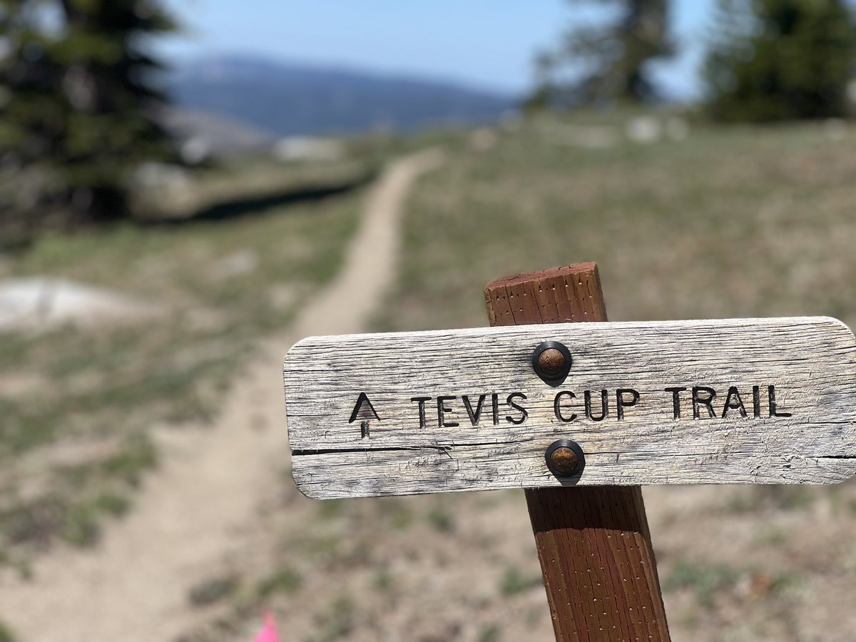 Ian Sharman tweet media