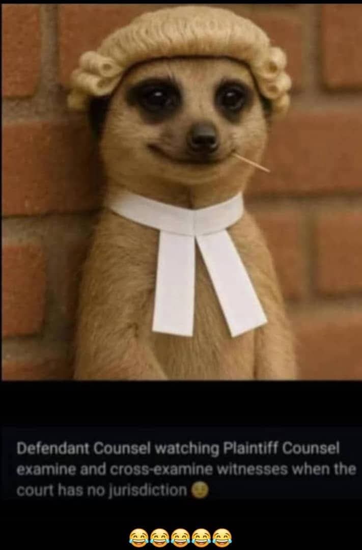 At last. One that I find very funny😭