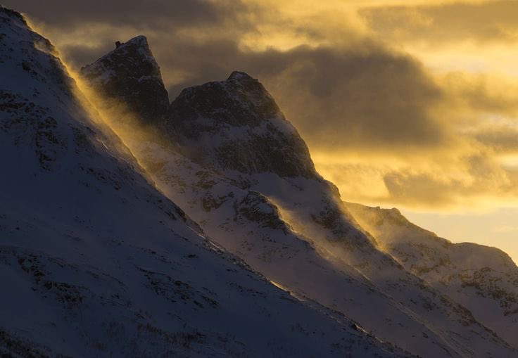 salt (@ancilladominii) on Twitter photo 