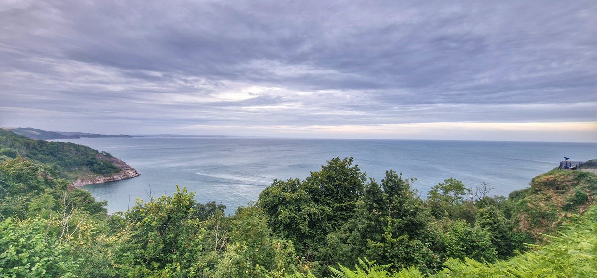 JonathanMarkUK's tweet photo. Had the night off, so I took a walk to Babbacombe Downs and back. I never tire of this gorgeous view — it always takes my breath away. The journey there and back is just as beautiful. Grateful for moments like these. 🌊🌿✨

#BabbacombeDowns #ScenicWalk #NatureLover #TorbayViews https://t.co/w6SqPw8c8g