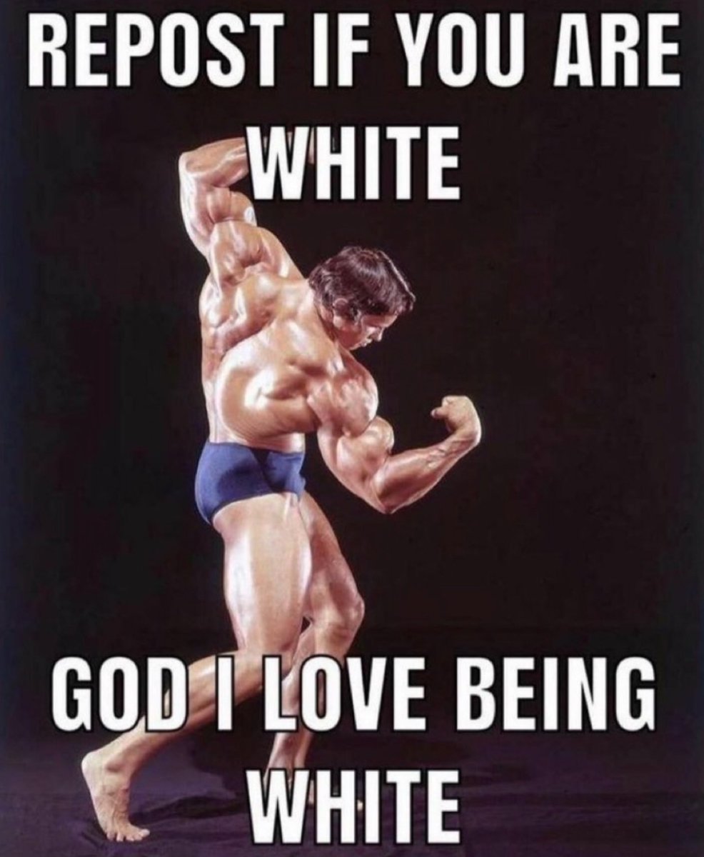 Canadian Patriot (@ppc4liberty) on Twitter photo 