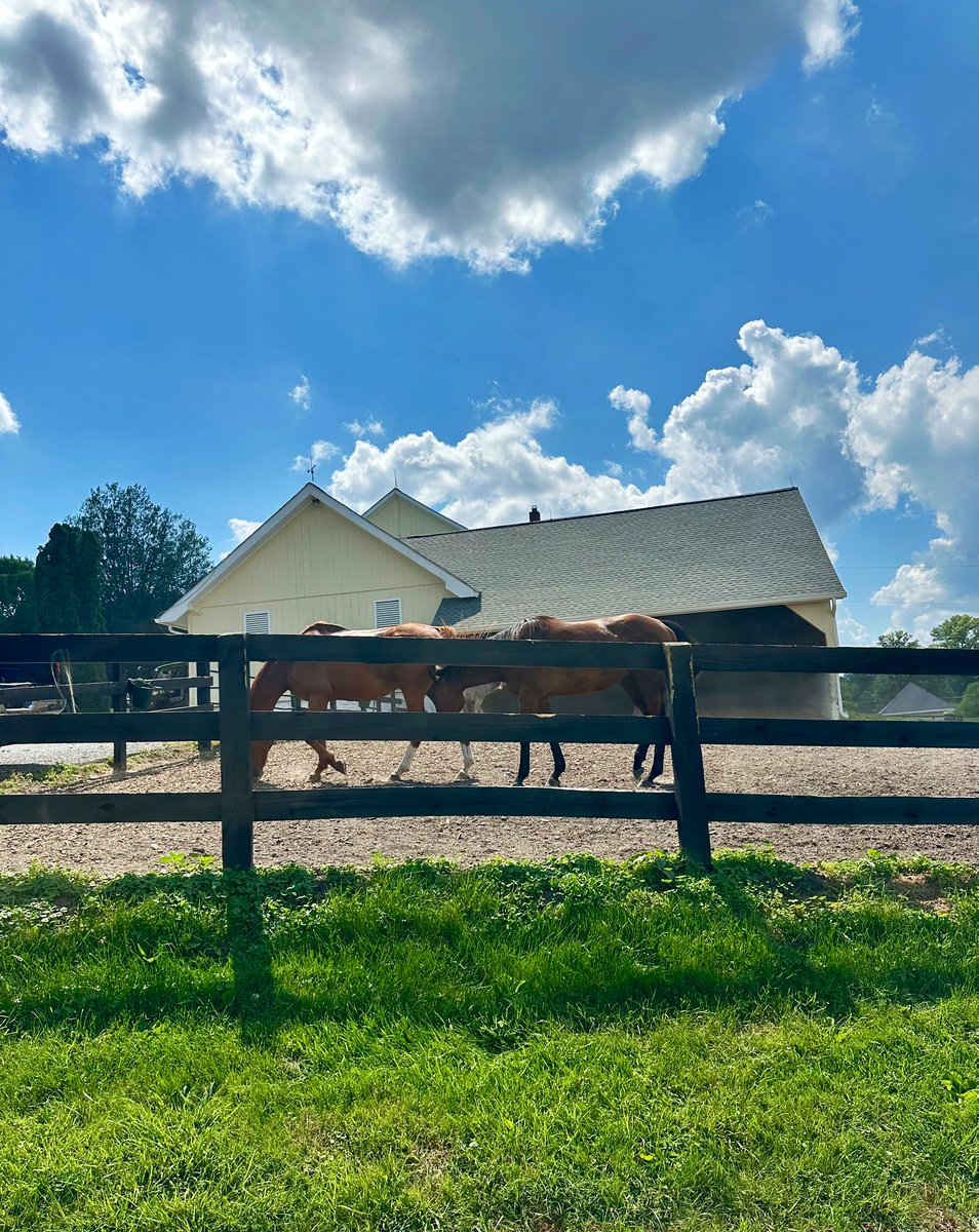 Céilí Doyle (@cadoyle_18) on Twitter photo Driving through hills exploring #BaltimoreCounty ! Got any tips, fun feature story ideas or thoughts about shady institutions?
Send ‘em my way 🗒️
I’m <a href="/BaltimoreBanner/">The Baltimore Banner</a>’s newest regional reporter:
📬 ceili.doyle@thebaltimorebanner.com
☎️ 410-246-8000 x1143 Driving through hills exploring #BaltimoreCounty ! Got any tips, fun feature story ideas or thoughts about shady institutions?
Send ‘em my way 🗒️
I’m <a href="/BaltimoreBanner/">The Baltimore Banner</a>’s newest regional reporter:
📬 ceili.doyle@thebaltimorebanner.com
☎️ 410-246-8000 x1143