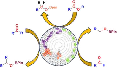 Recent Trends and Mechanistic Insights in the Catalytic Hydroboration of Carbonyl Compounds (<a href="/ChemCatChem/">ChemCatChem</a>): …mistry-europe.onlinelibrary.wiley.com/doi/full/10.10…