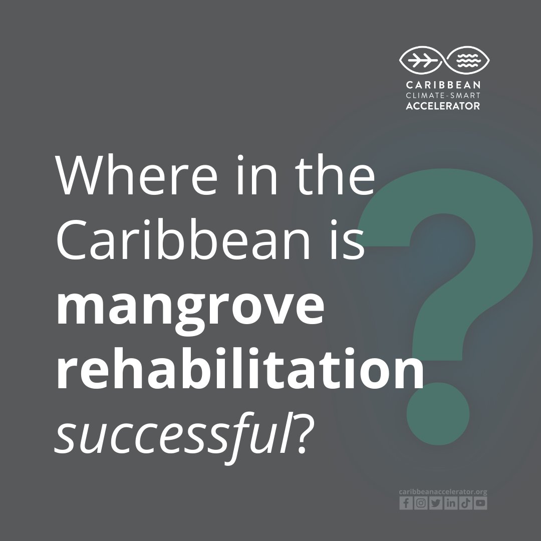 🌍 How well do you know climate action in the Caribbean? 🤔 Test your knowledge with these questions: Let's see how much you know! Share your answers below and tag a friend to join the challenge. 🌱💬 #ClimateAction #QuizTime #TestYourKnowledge