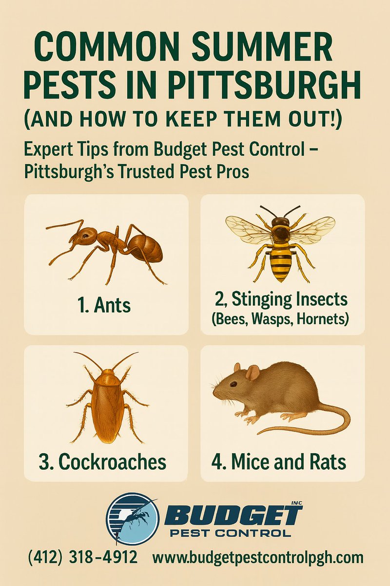 BudgetpestPGH's tweet photo. ☀️ Summer in Pittsburgh = More bugs! 🐜🪳🐝
Stop ants, roaches, wasps, mice &amp; more with help from Budget Pest Control.
📞 (412) 318-4912
🌐 https://t.co/ZjlCzMbAP4
🔗 https://t.co/7JZD4WwsXa

#PestFreeSummer #PittsburghPestControl #BugProblems https://t.co/DxQOKaxziy