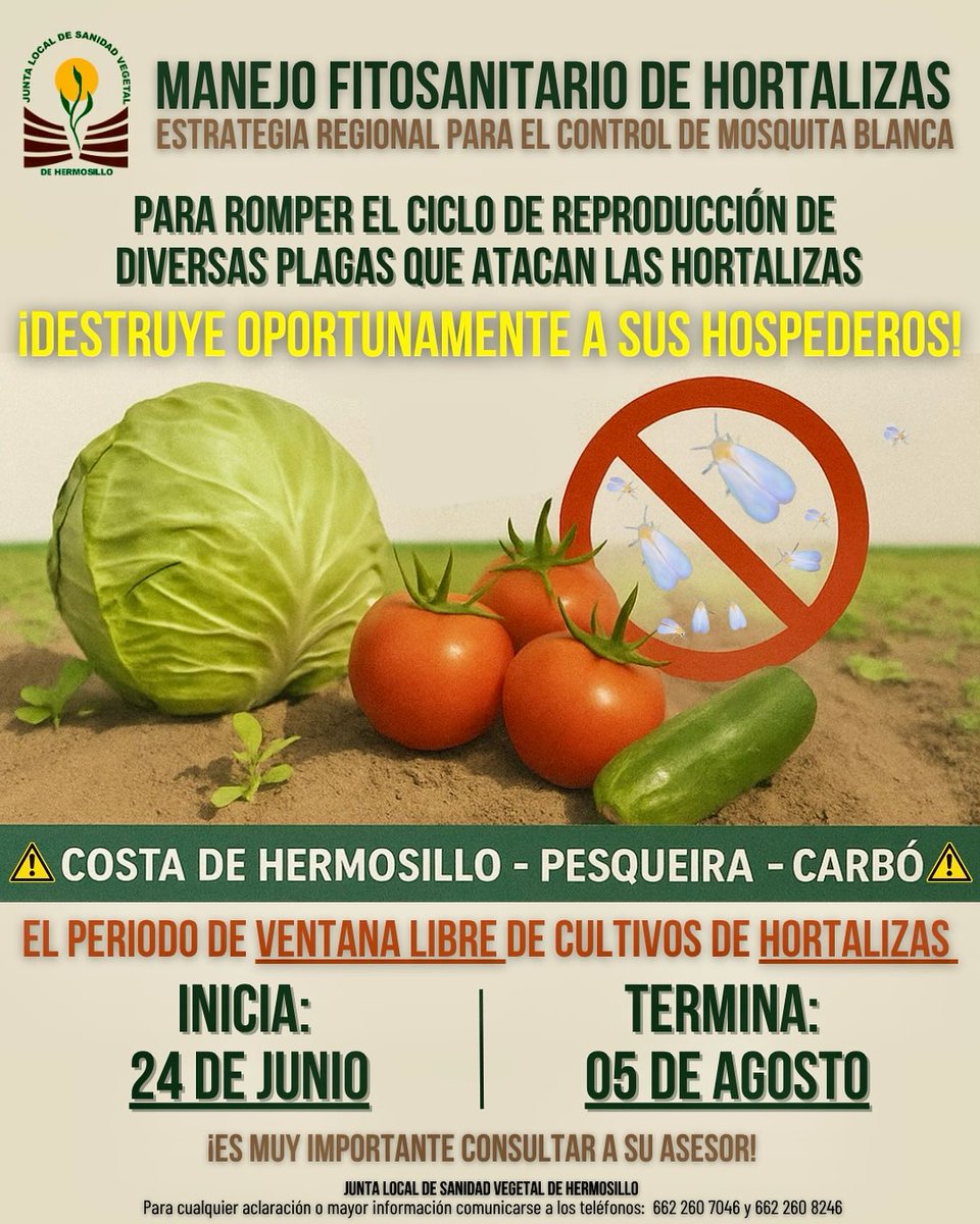 CESAVE Sonora tweet media