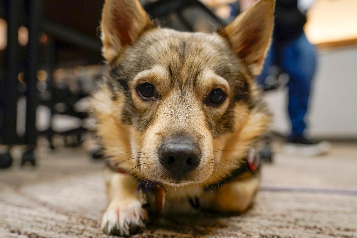 MNHouseInfo tweet media