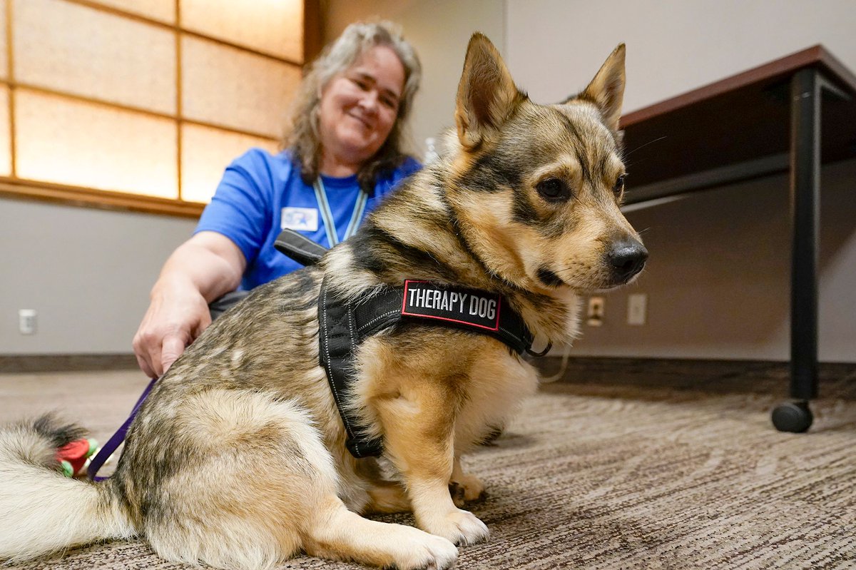 MNHouseInfo tweet media