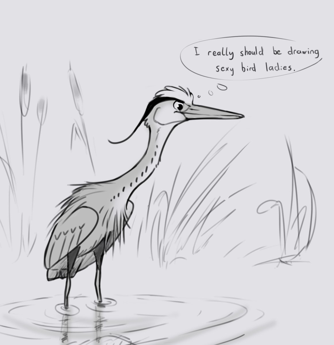 The thoughts of a lonely fishing heron