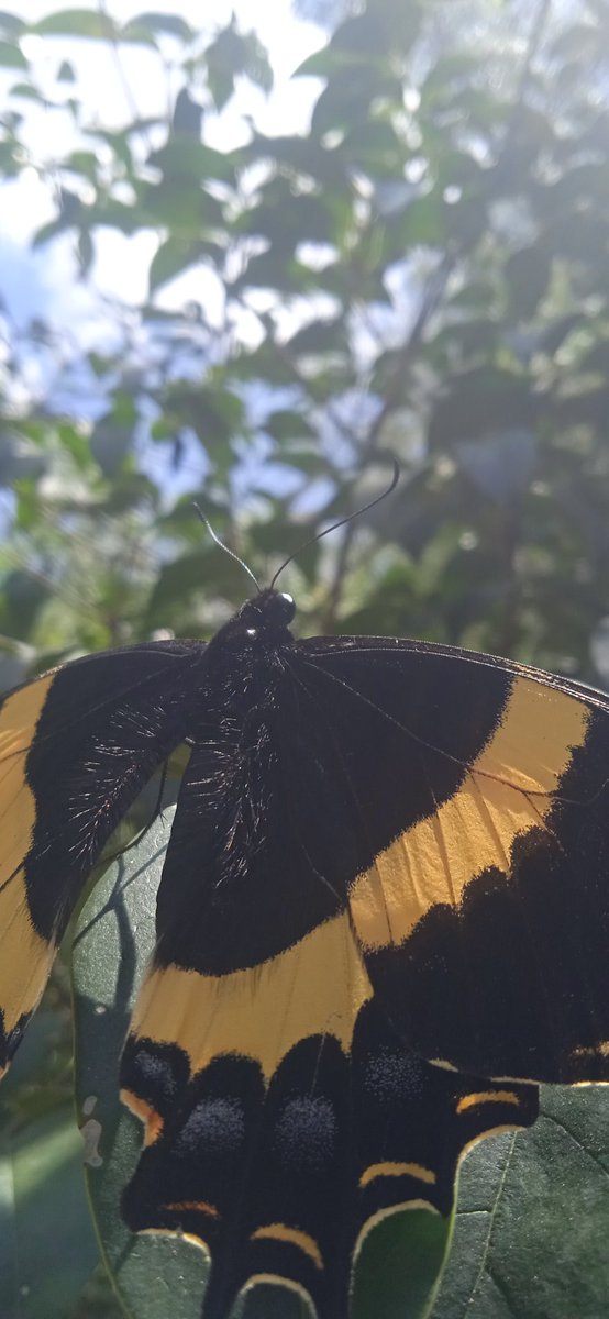 No importa la distancia, si al final, todo fue real.