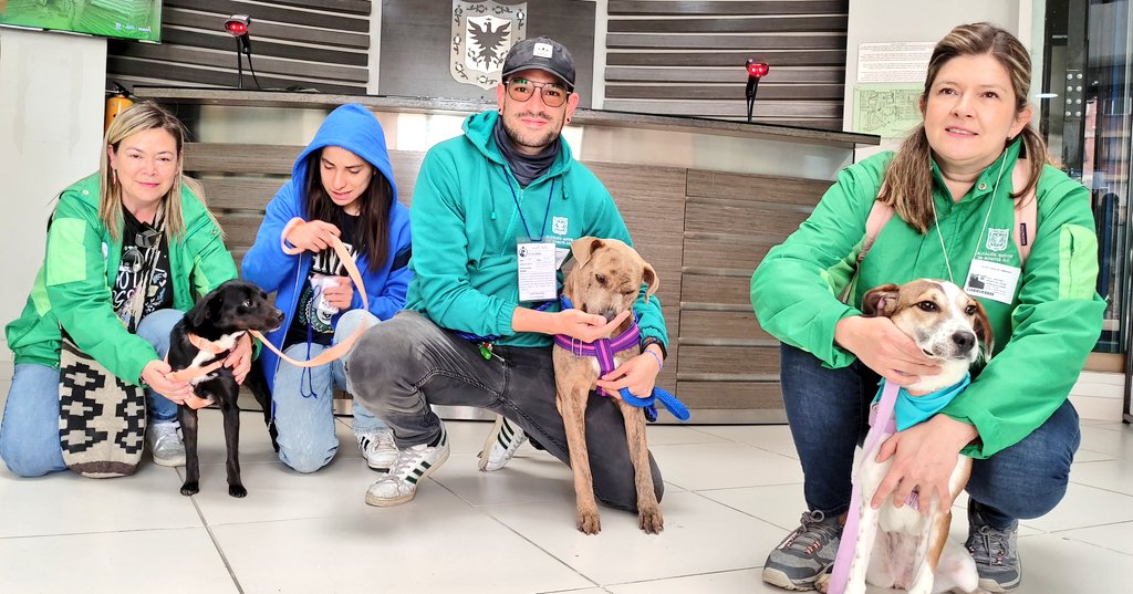 Secretaría de Ambiente (@ambientebogota) on Twitter photo ¡Un gran equipo por el bienestar animal! 👏🏻
Este grupo de profesionales que hacen parte de <a href="/AnimalesBOG/">Protección Animal Bogotá</a>, acompaña cada una de las jornadas de adopción que llegan hasta diferentes rincones de #BogotáMiCiudadMiCasa 🐶💚.
Cuando un animalito encuentra un nuevo hogar, ellos hacen ¡Un gran equipo por el bienestar animal! 👏🏻
Este grupo de profesionales que hacen parte de <a href="/AnimalesBOG/">Protección Animal Bogotá</a>, acompaña cada una de las jornadas de adopción que llegan hasta diferentes rincones de #BogotáMiCiudadMiCasa 🐶💚.
Cuando un animalito encuentra un nuevo hogar, ellos hacen