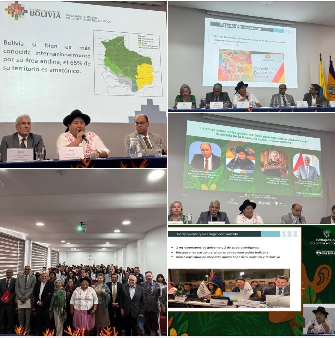 La Embajadora de Bolivia, insta a concluir la negociación del MECANISMO AMAZÓNICO DE LOS PUEBLOS INDÍGENAS, en del “Encuentro Amazónico en Ecuador: que contó con la presencia de, Martín Von Hildebrand. Secretario General de la OTCA.

<a href="/LuchoXBolivia/">Luis Alberto Arce Catacora (Lucho Arce)</a>