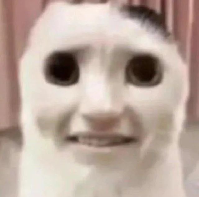 braexae's tweet image. Makayla’s got two more kittys if anyone curious